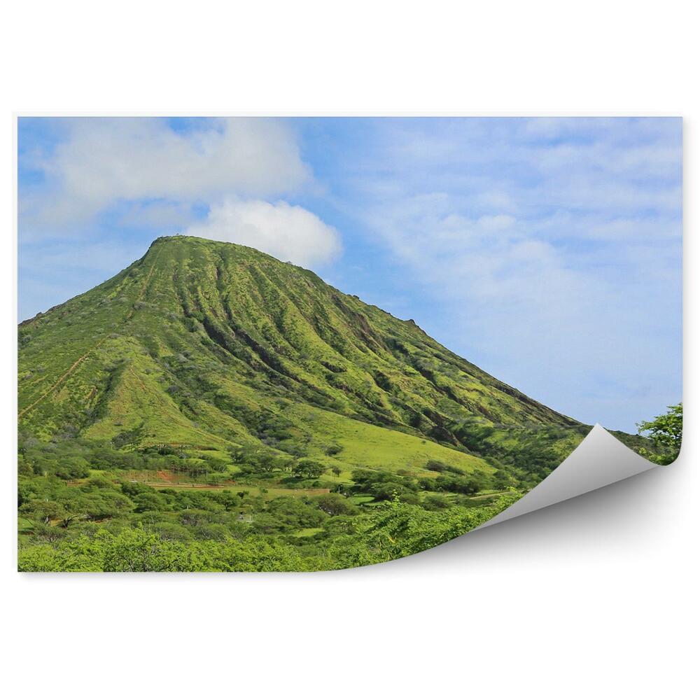 Fototapeta na ścianę zielony krajobraz góry rośliny Oahu wyspa Hawaje