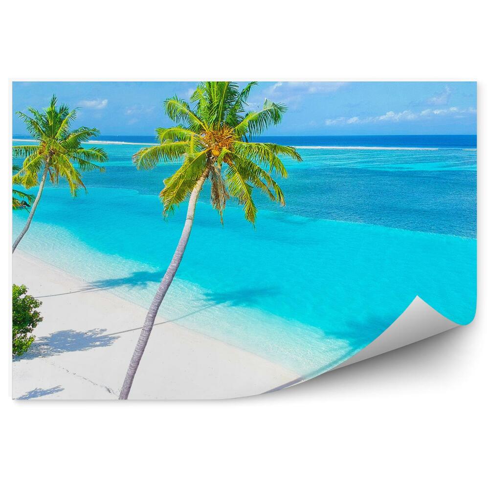 Fototapeta na ścianę Plaża piaszczysta palmy intensywne kolory