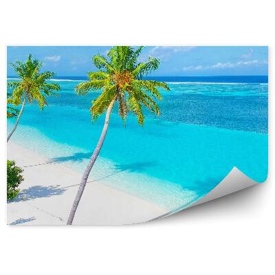 Fototapeta na ścianę Plaża piaszczysta palmy intensywne kolory