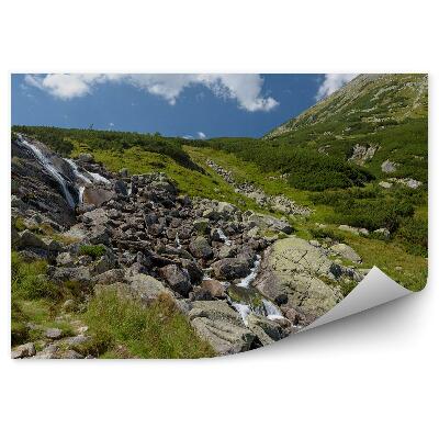 Okleina ścienna Wodospad Tatry lato Polska natura
