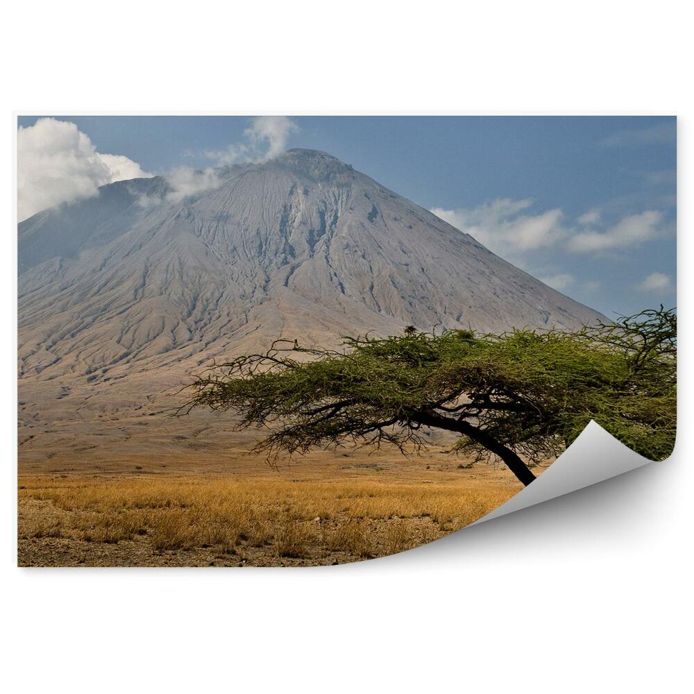 Okleina na ścianę Tanzania wulkan drzewo niebo chmury