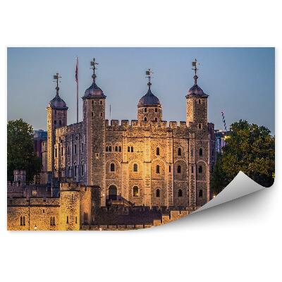Fototapeta twierdza Tower drzewa rzeka światła Londyn