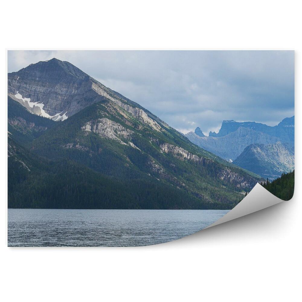 Fototapeta na ścianę Łoś w górskim jeziorze