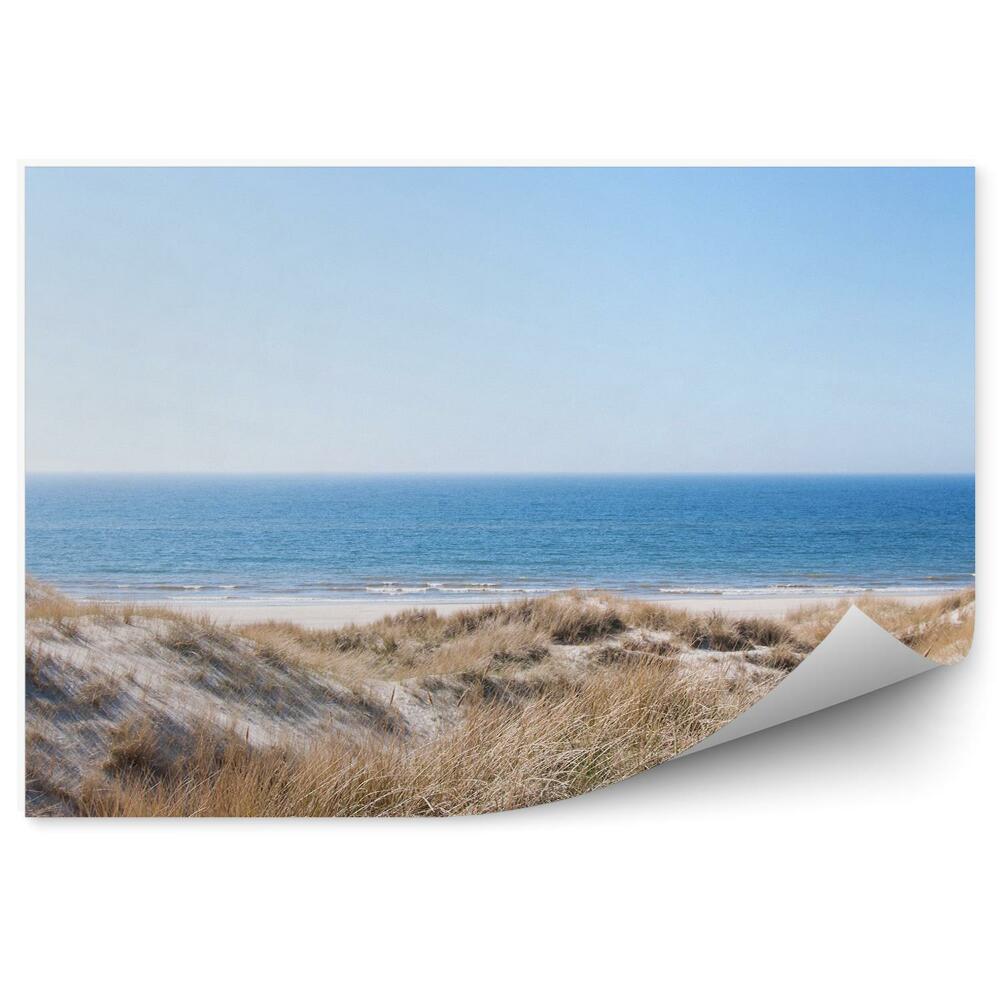 Fototapeta Wydmy morze północne trawa plaża piasek niebo