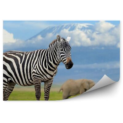 Fototapeta Zebra i słonie na tle kilimandżaro