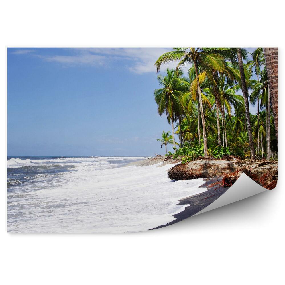 Okleina na ścianę Dzikie Karaiby palmy tropikalny krajobraz