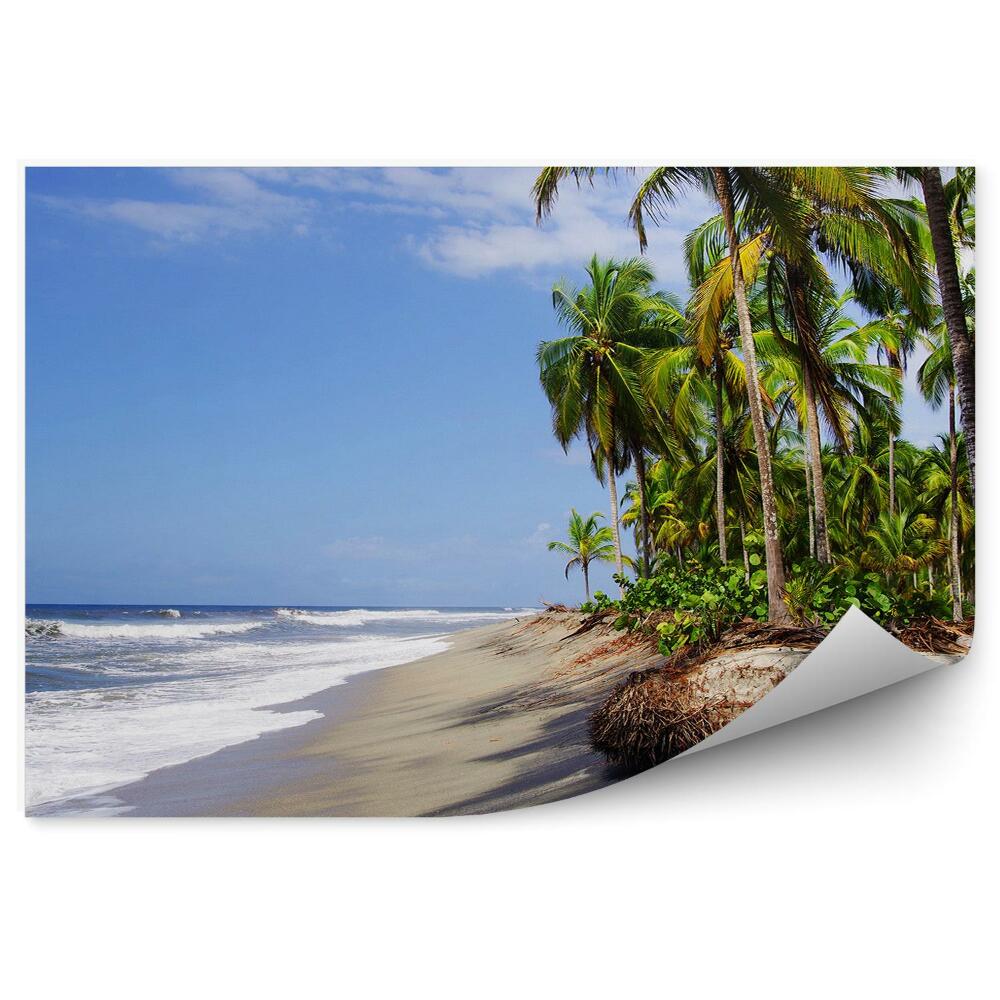 Fototapeta na ścianę morze Karaibskie Kolumbia palmy niebo chmury