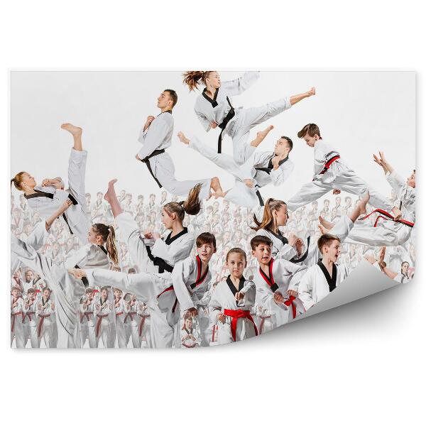 Fototapeta samoprzylepna Kolaż dzieci karate