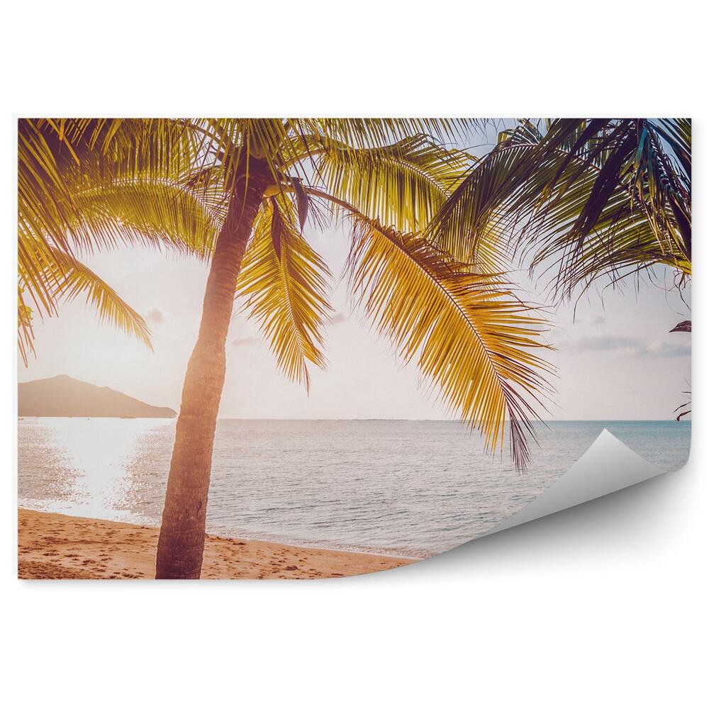 Fototapeta na ścianę Plaża tropiki palmy drzewa wyspy