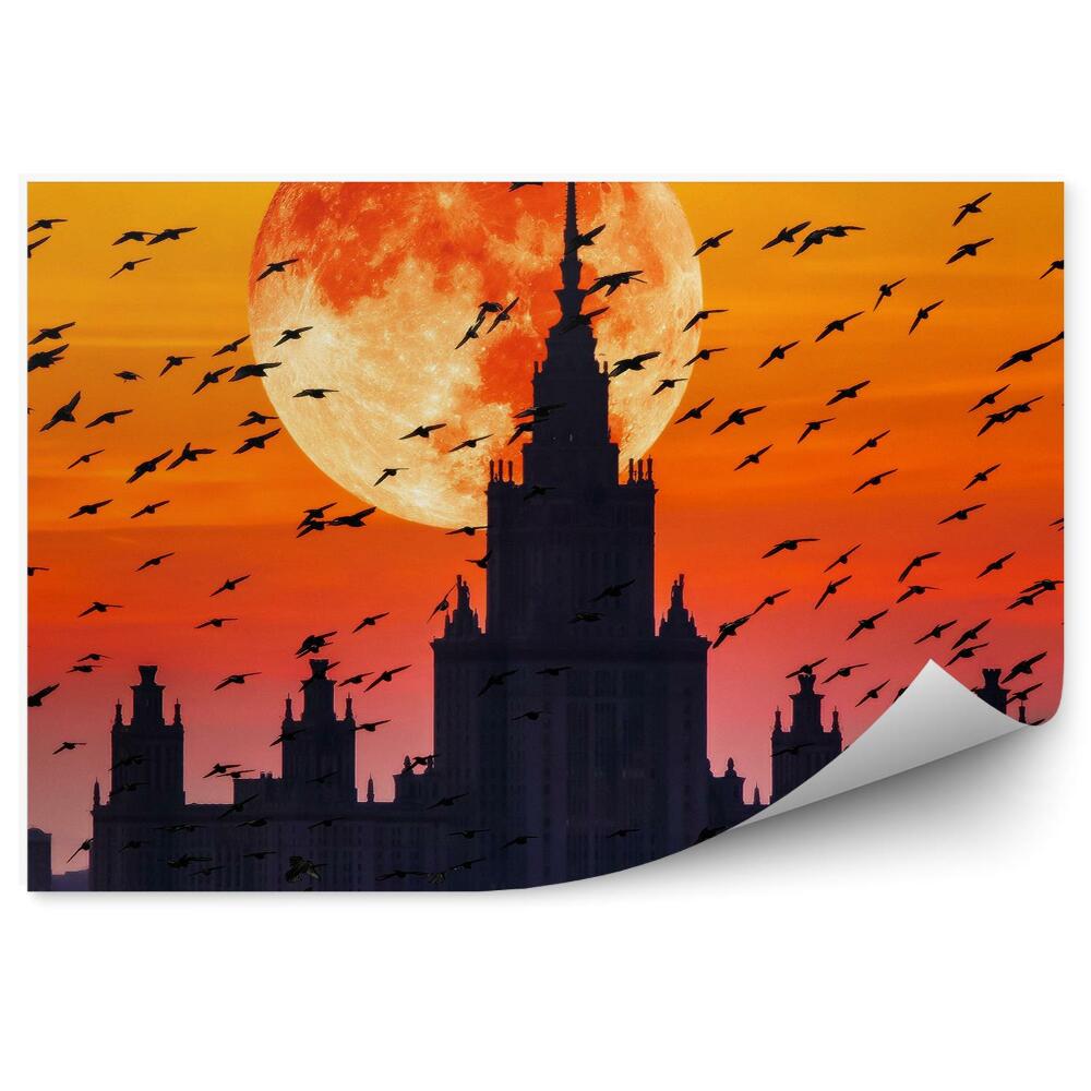 Fototapeta Budynek ptaki pomarańczowe niebo księżyc widok