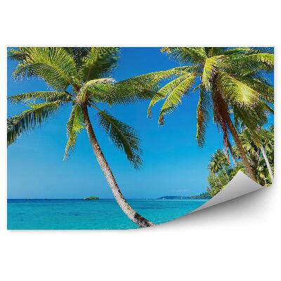 Okleina ścienna Palmy plaża tropikalna tajlandia