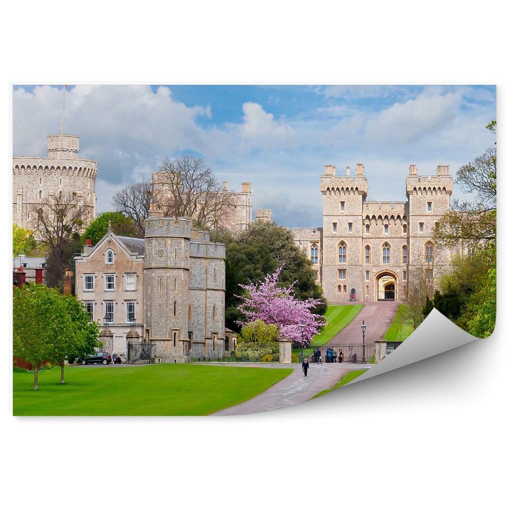 Fototapeta zamek Windsor trawa drzewa niebo chmury Londyn