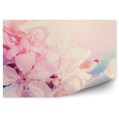 Okleina ścienna Różowe kwiaty wiśni szkice żółte czarne tło