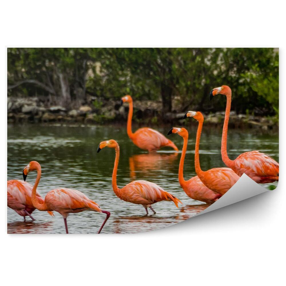 Fototapeta na ścianę flamingi morze Karaibskie rośliny drzewa