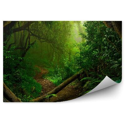 Okleina ścienna Dżungla zieleń drzewa
