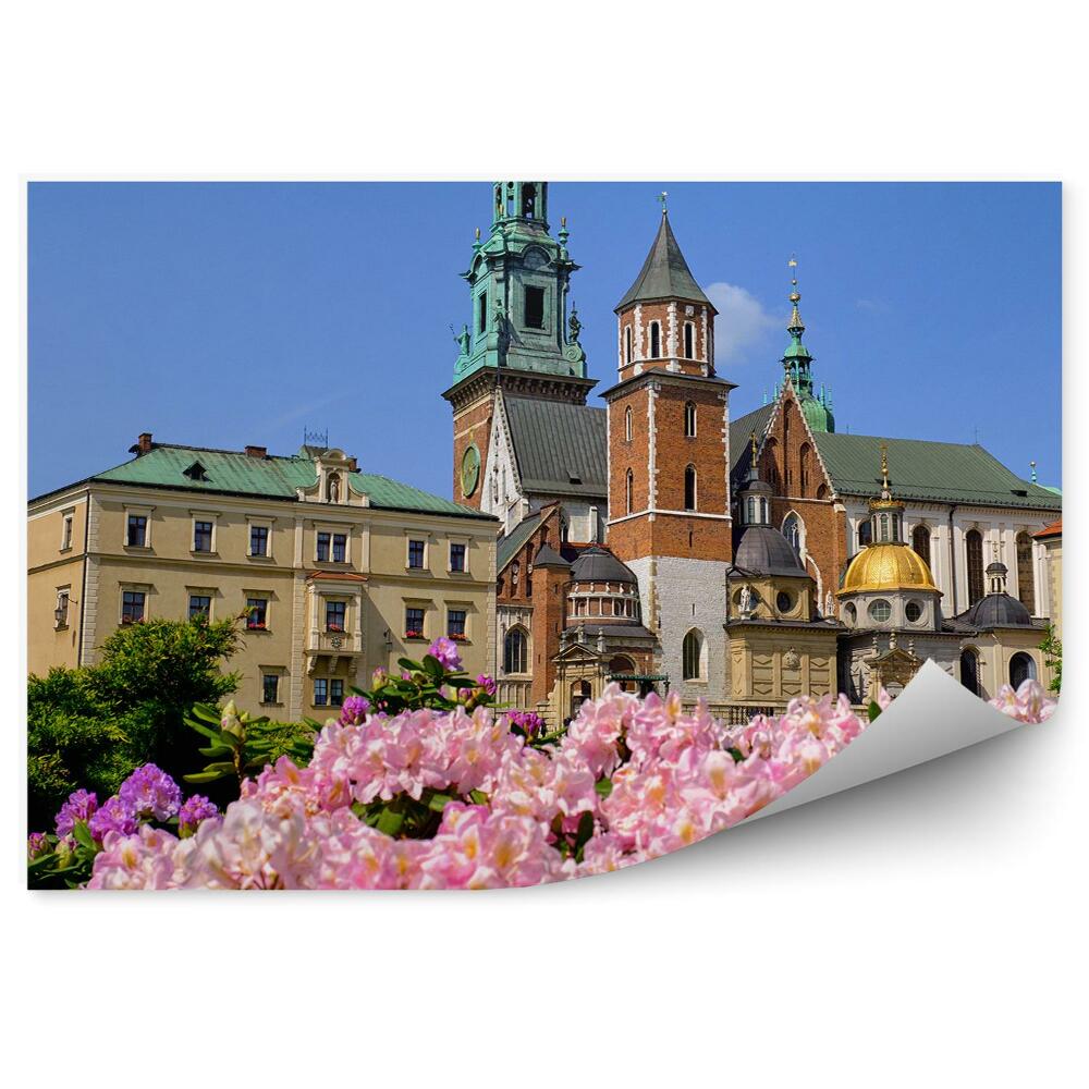 Fototapeta na ścianę katedra Wawel budynki drzewa kwiaty Kraków