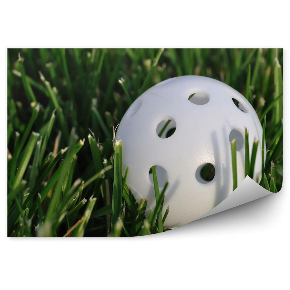 Fototapeta samoprzylepna Piłka golfowa trawa