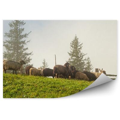 Okleina na ścianę Owce karpaty góry drzewa płot karpaty