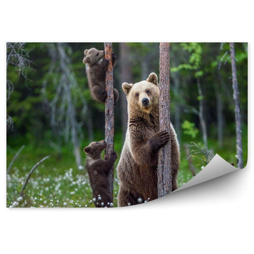 Okleina ścienna Niedźwiedzica z młodymi wśród drzew