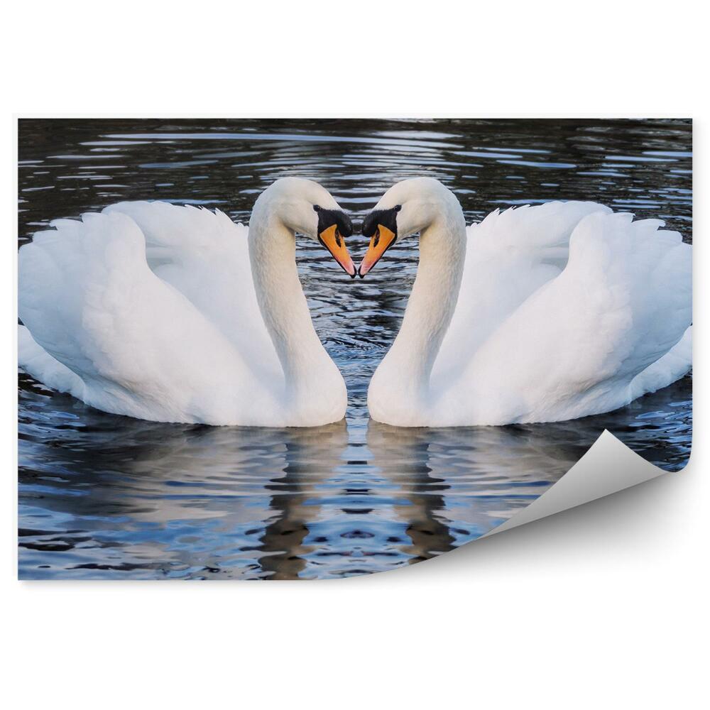 Okleina ścienna Romantyczne dwa łabędzie na jeziorze symbol kształcie serca