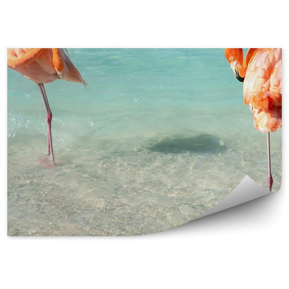 Fototapeta na ścianę flamingi morze Karaibskie plaża