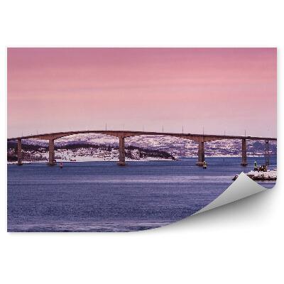 Fotopeta Krajobraz most zima śnieg domy