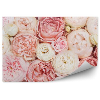 Fototapeta na ścianę Różowe beżowe kwiaty tło