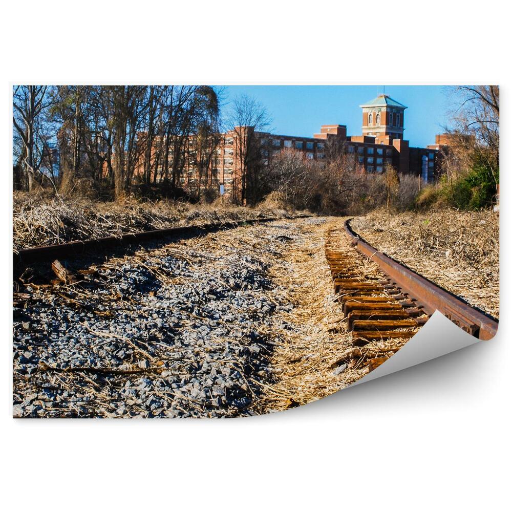 Okleina na ścianę Zniszczone tory kolejowe kamienie trawa miasto
