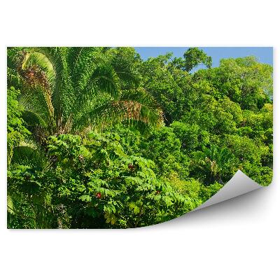 Okleina ścienna Dżungla drzewa rośliny zielone