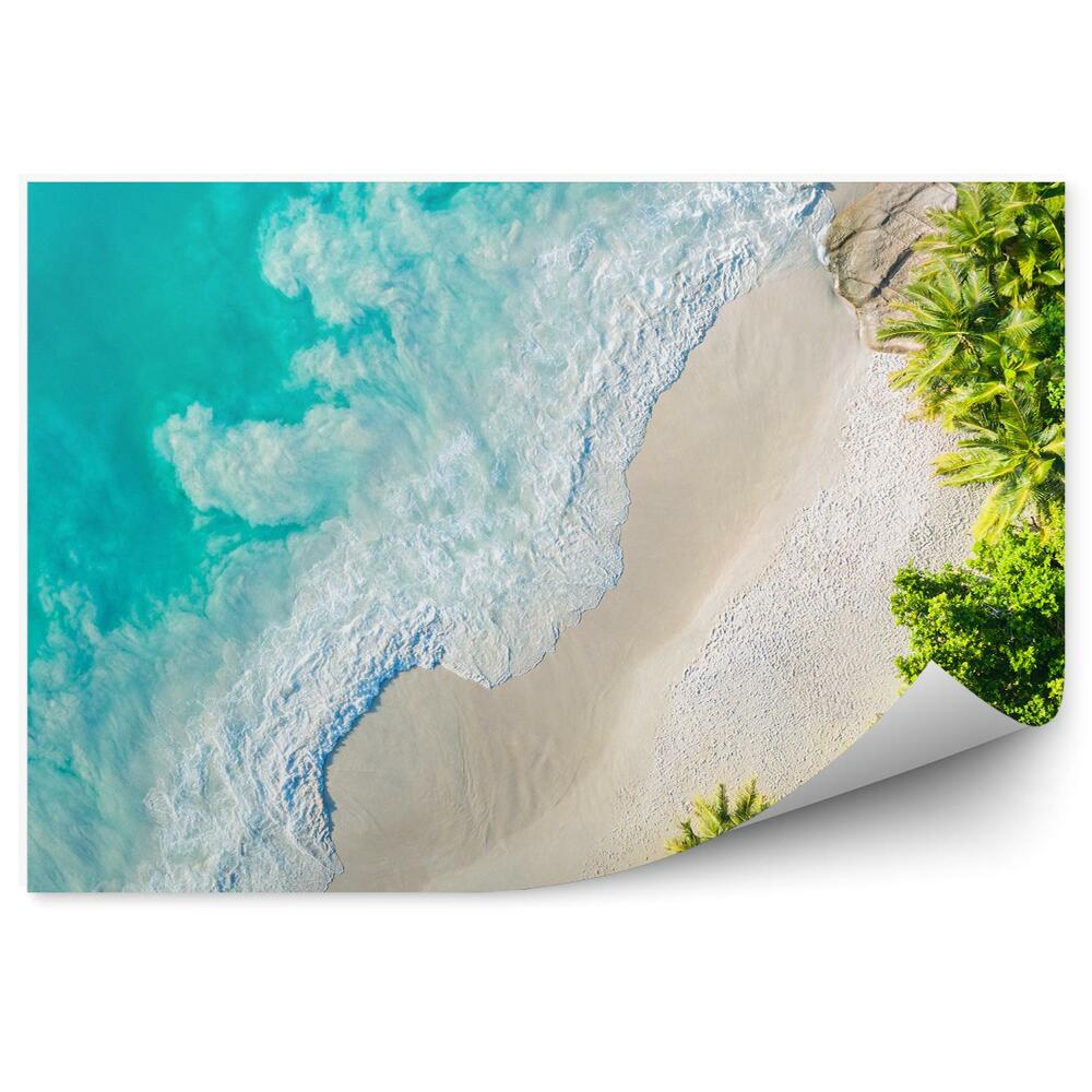 Okleina ścienna Widok z lotu ptaka plaża morze skały palmy drzewa