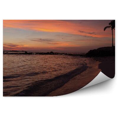 Fototapeta Ocean plaża palmy zachód słońca