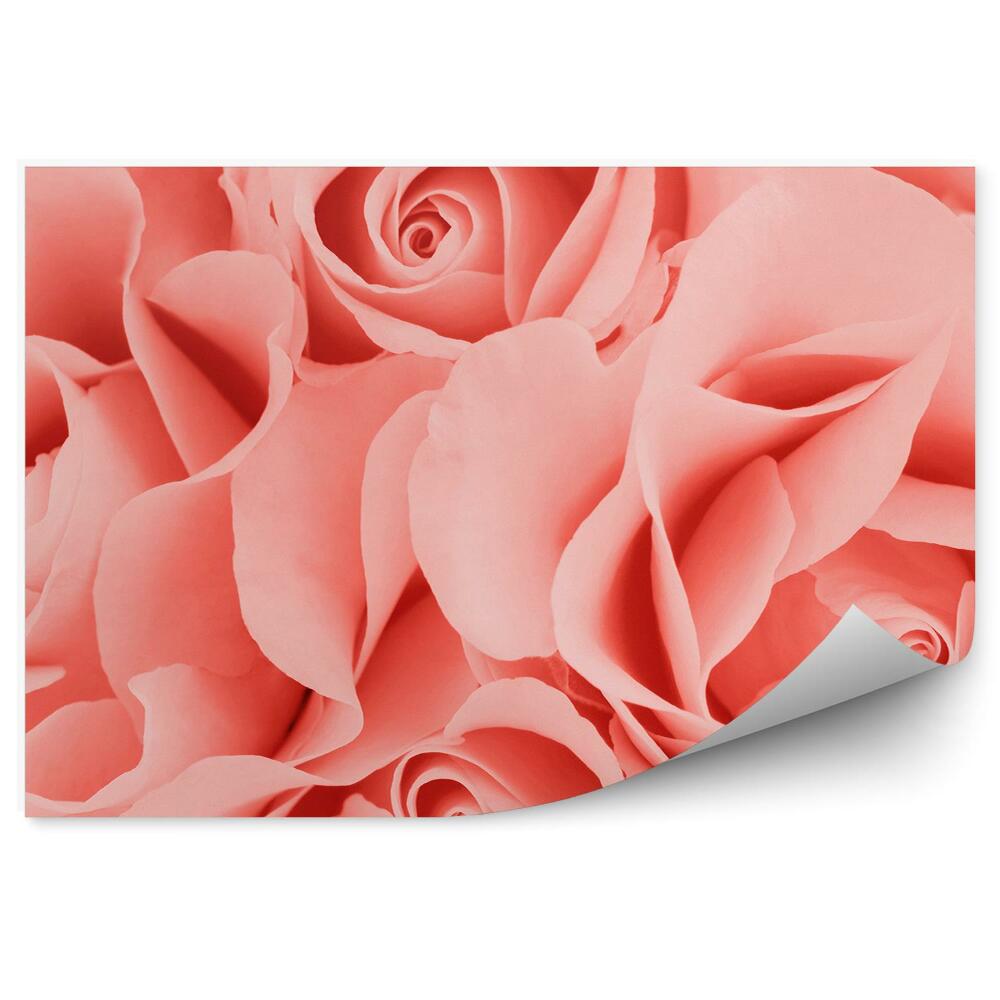 Fototapeta na ścianę Różowe kwiaty róże wzór