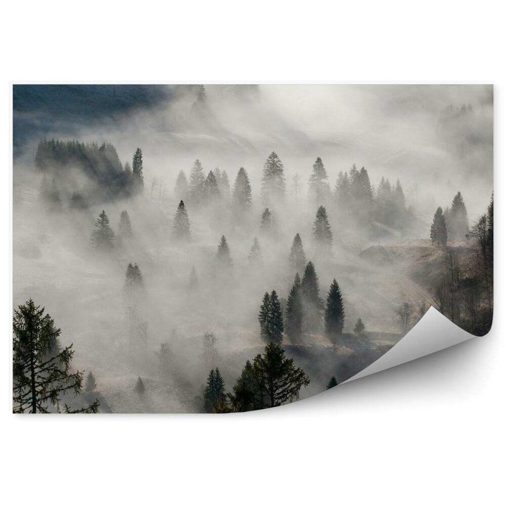 Okleina na ścianę Górski wąwóz mgła drzewa iglaste droga