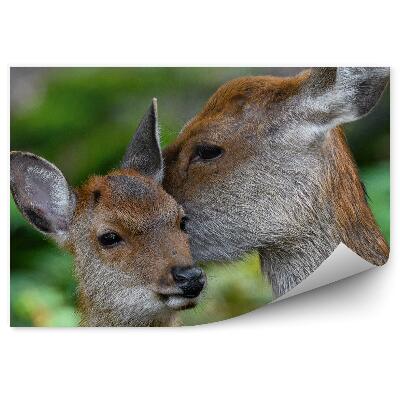 Okleina ścienna Łania i młode