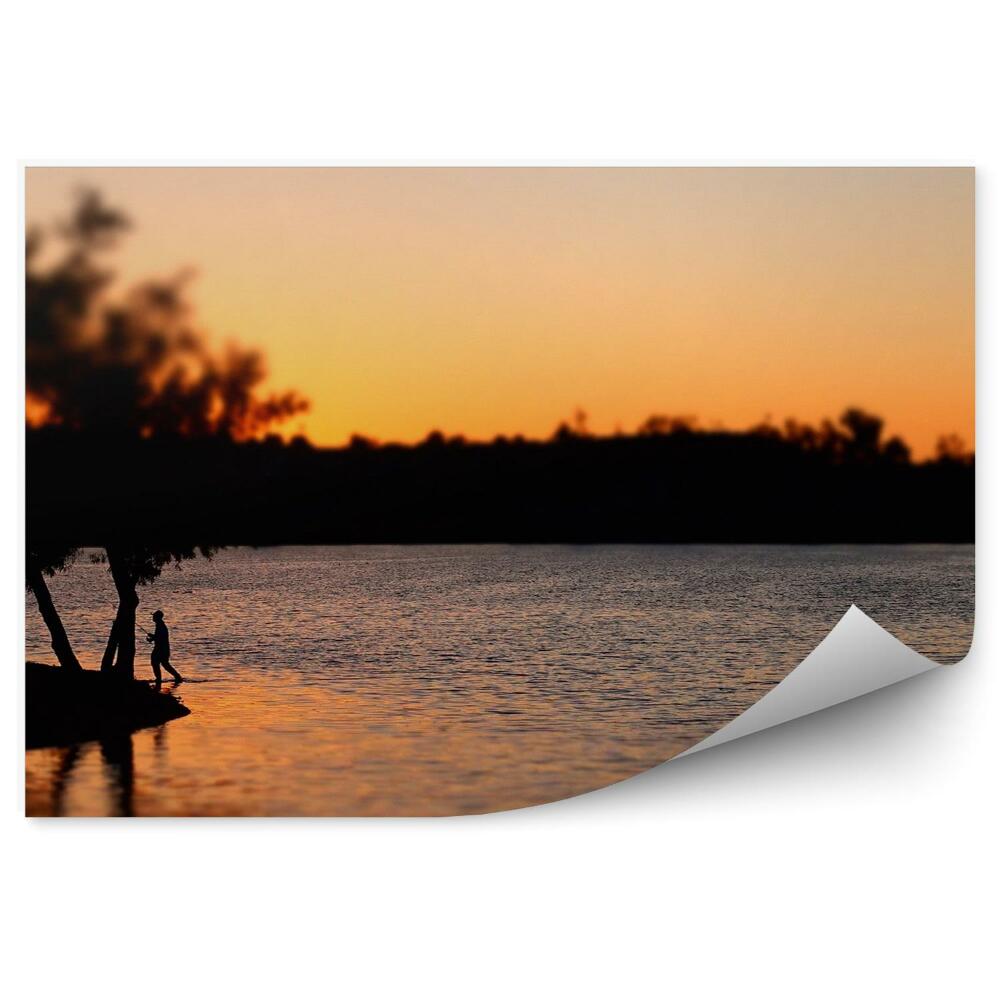 Fototapeta Rybak jezioro murray zachód słońca drzewa