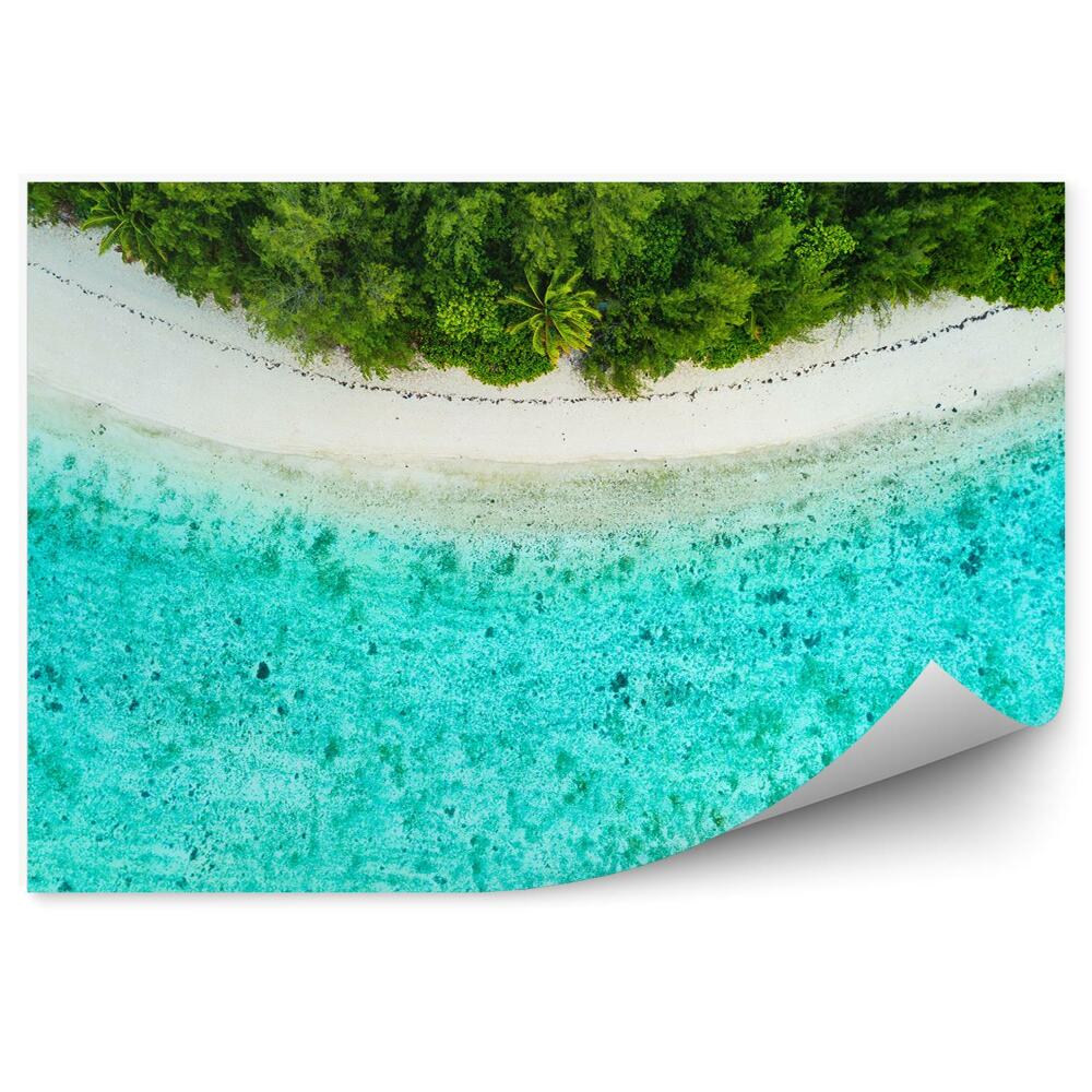 Fototapeta na ścianę Widok z góry linia brzegu plaża drzewa palmy