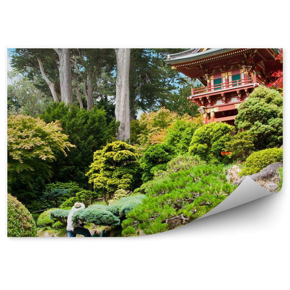 Fototapeta Japoński ogród herbaciany roślinność azja