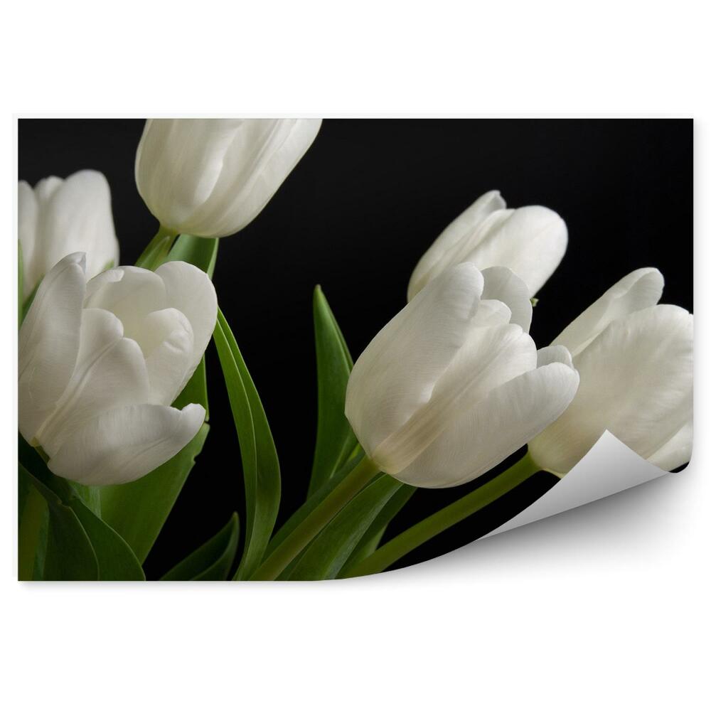 Fototapeta na ścianę Białe tulipany