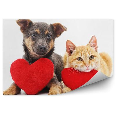 Fototapeta Szczeniak kotek serduszka urocze białe tło