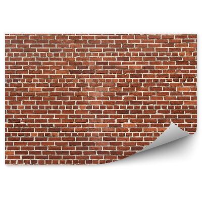 Fototapeta samoprzylepna Ceglana ściana