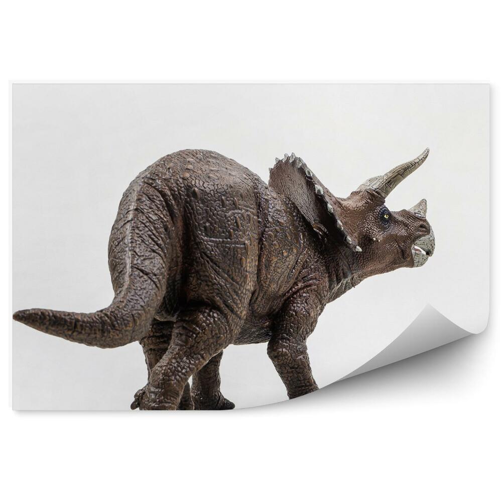 Fototapeta Triceratops na białym tle