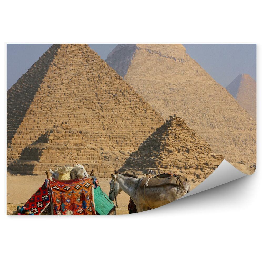Okleina ścienna Beduini osiołek wielbłąd piramidy piasek