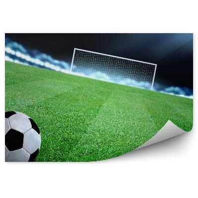 Fototapeta samoprzylepna Boisko piłkarskie piłka bramka