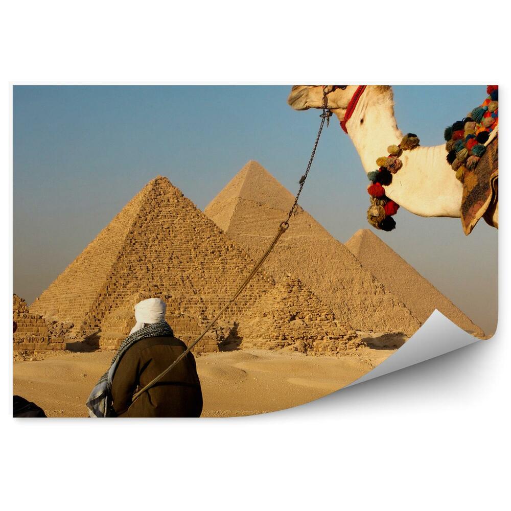 Okleina ścienna Piramidy giza wielbłąd mężczyźni