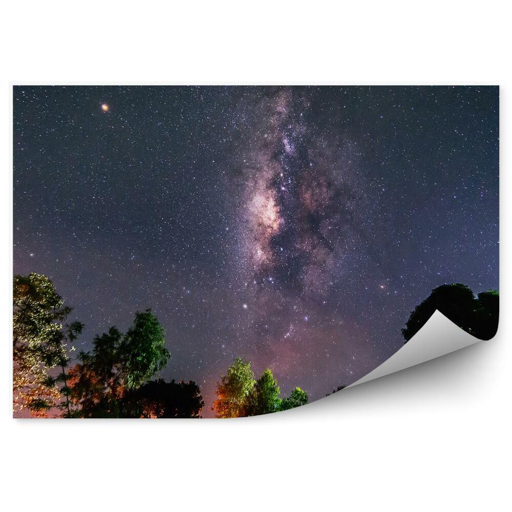 Fototapeta Drogi mlecznej gwiazdy pył kosmiczny drzewa kolorowe światła noc