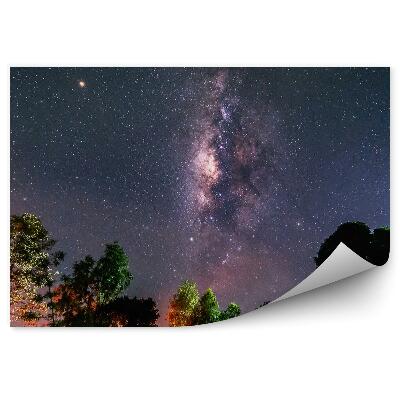 Fototapeta Drogi mlecznej gwiazdy pył kosmiczny drzewa kolorowe światła noc