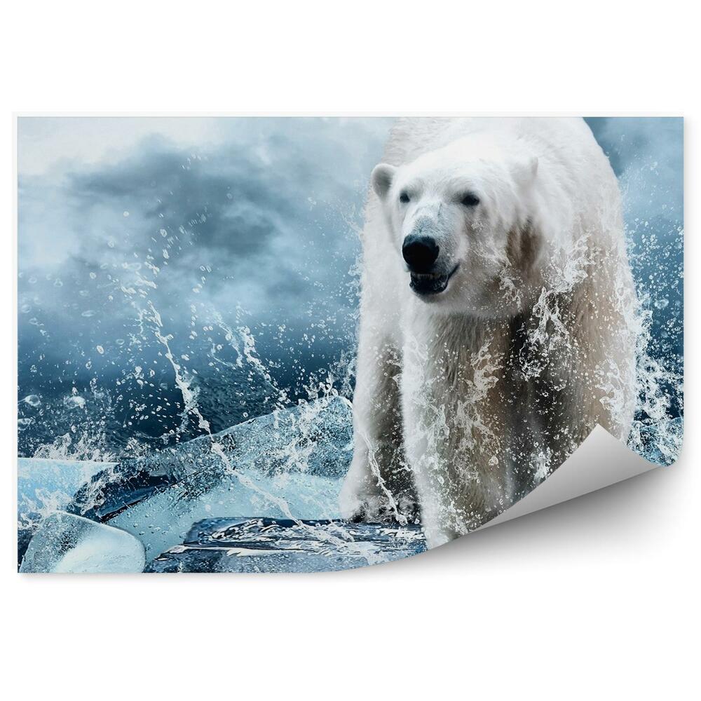 Okleina ścienna Niedźwiedź polarny na lodzie wśród kropel wody