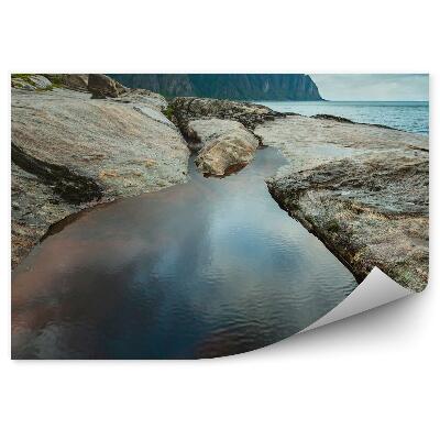 Fotopeta Wybrzeże senja norwegia góry skały