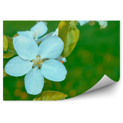 Okleina ścienna Biały kwiat jabłoni złote liście zielone tło