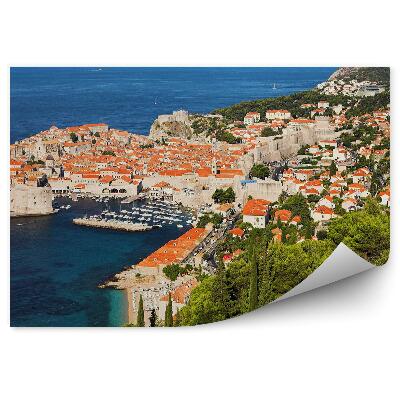 Fototapeta Drzewa zieleń natura miasto widok panorama